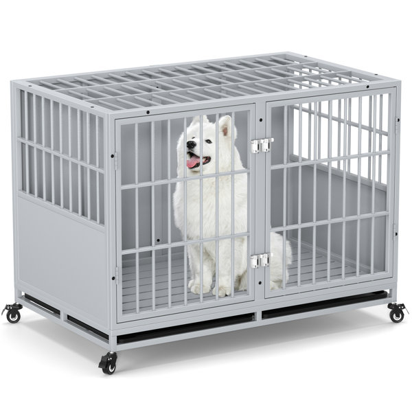 Tucker Murphy Pet™ Stackable Dog Crate, Heavy Duty Metal Kennel For Two